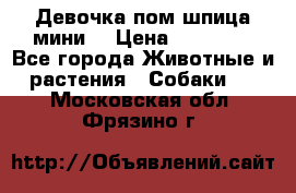 Девочка пом шпица мини  › Цена ­ 30 000 - Все города Животные и растения » Собаки   . Московская обл.,Фрязино г.